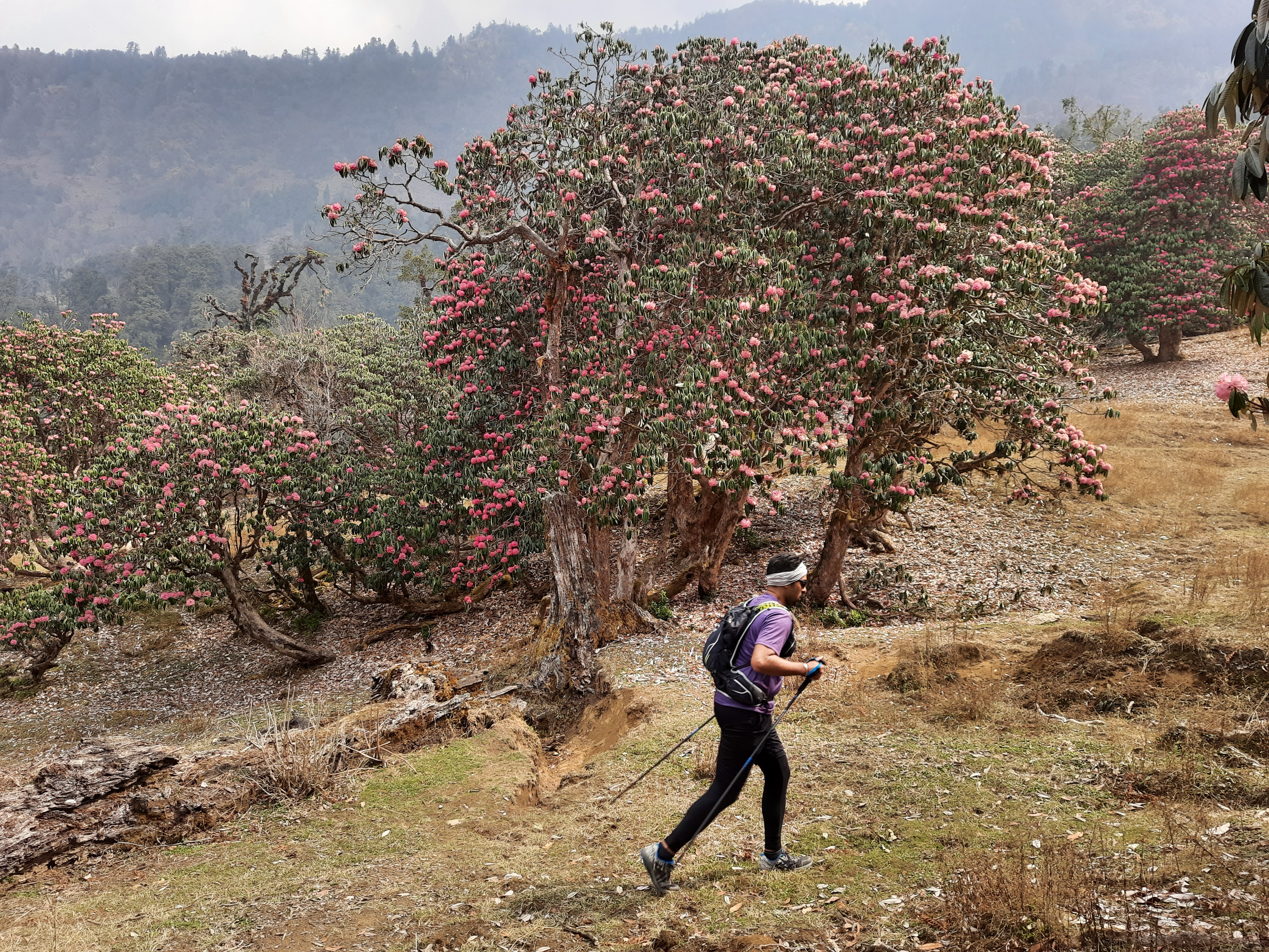 allin-running-camps-trail-run-shaama